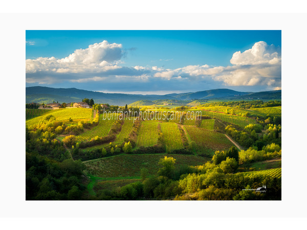 Chianti Vineyards and Villages Photo Tour with A. Bonfanti ph