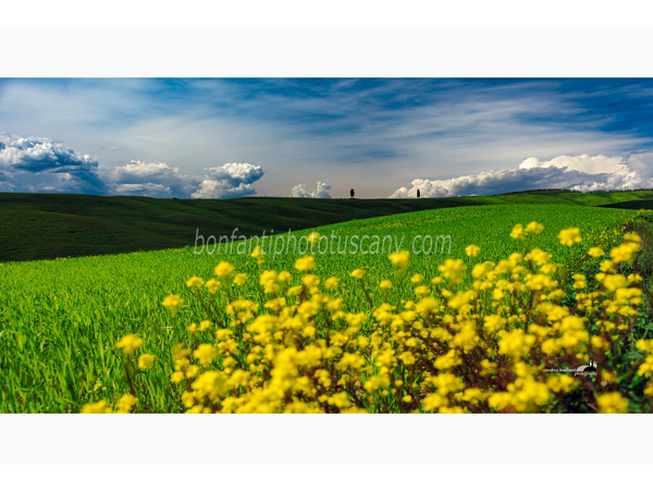 tuscany photo tour val d'orcia landscapes with a.bonfanti ph.