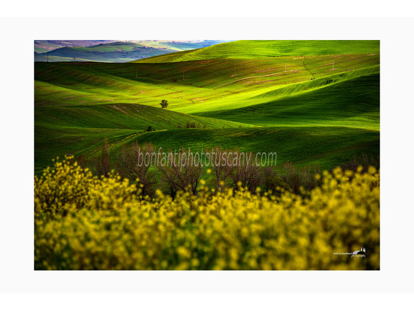 tuscany photo tour val d'orcia landscapes with a.bonfanti ph.