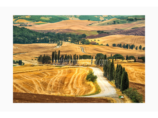 tuscany photo tour val d'orcia landscapes with a.bonfanti ph.