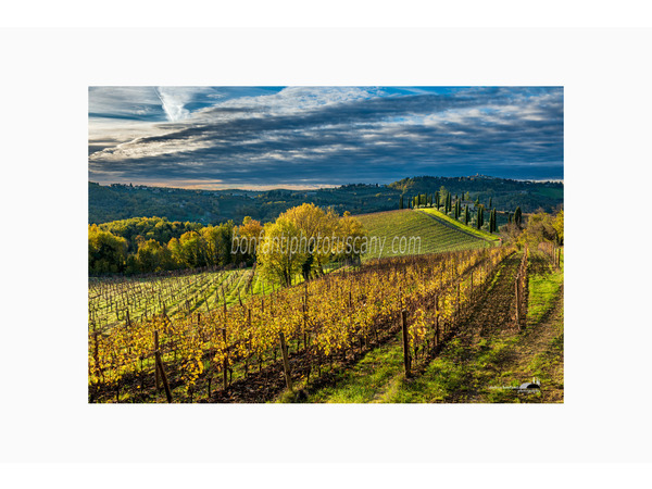 Chianti Vineyards and Villages Photo Tour with A. Bonfanti ph