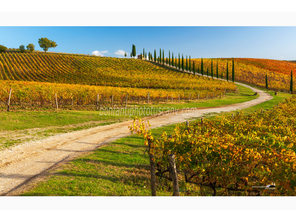 Chianti Vineyards and Villages Photo Tour with A. Bonfanti ph.