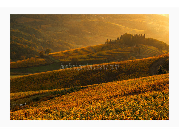 Chianti Vineyards and Villages Photo Tour with A. Bonfanti ph.