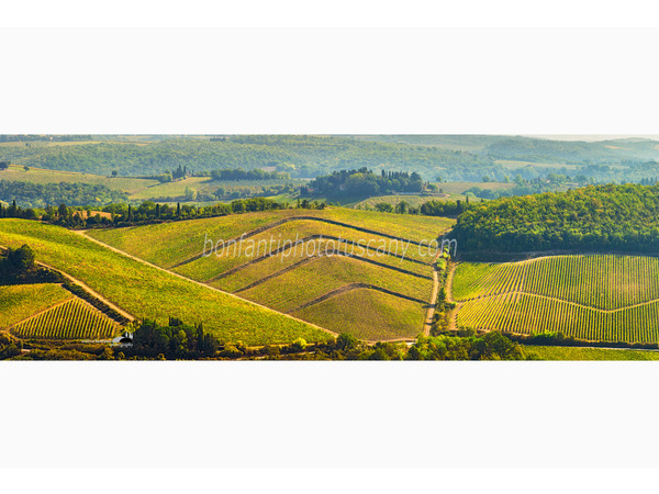 Chianti Vineyards and Villages Photo Tour with A. Bonfanti ph