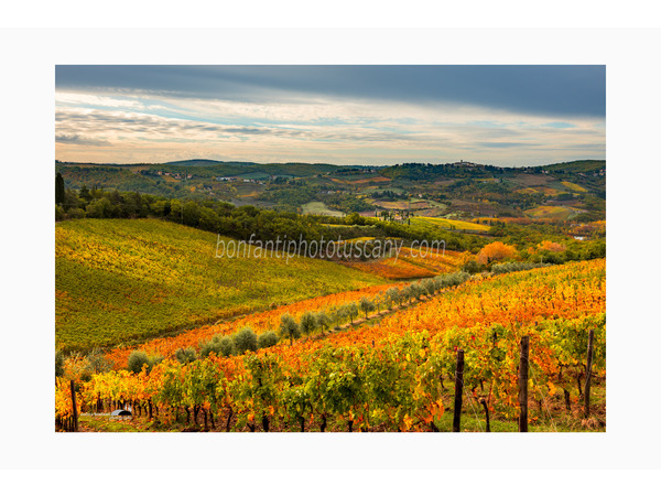 Chianti Vineyards and Villages Photo Tour with A. Bonfanti ph